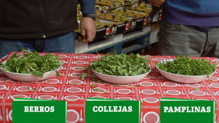 Aquí la Tierra - Cata de pamplinas, collejas y berros