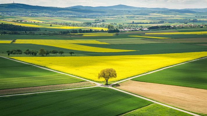 Informativo de Madrid - El Tiempo en la Comunidad de Madrid - 22/05/17