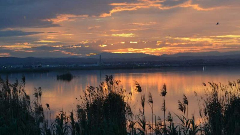 L'Informatiu - Comunitat Valenciana 2 - 22/05/17 - ver ahora