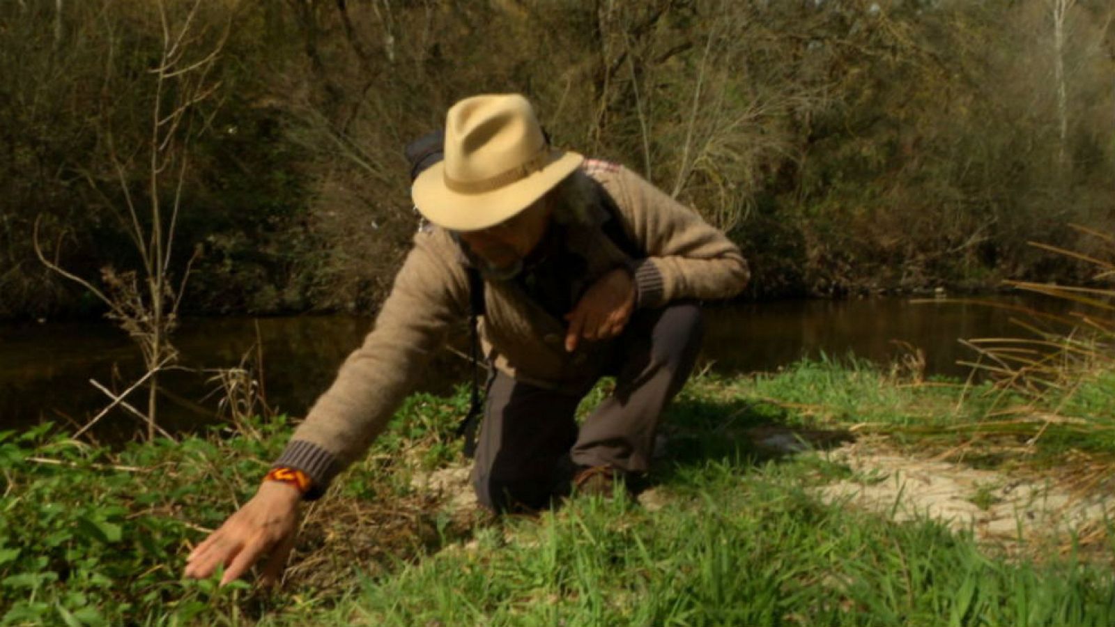La familia de la menta