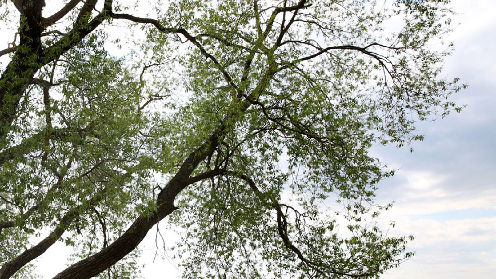 Nubes en el Cantábrico y los Pirineos y máximas que suben en el este peninsular