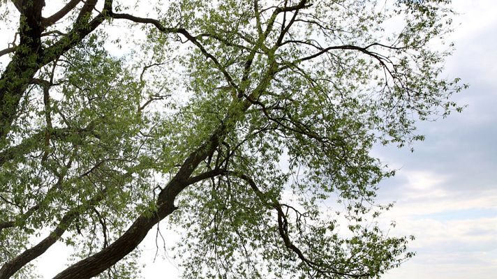 El tiempo - Nubes en el Cantábrico y los Pirineos y máximas que suben en el este peninsular