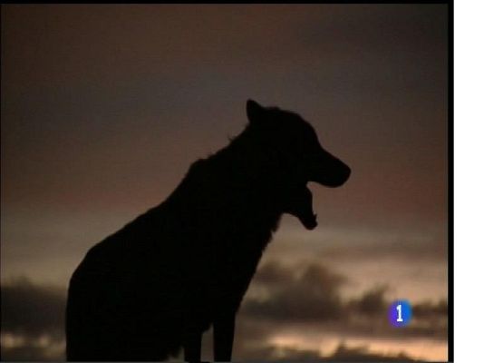 Panorama Regional - Asturias en 2' - 23/05/17