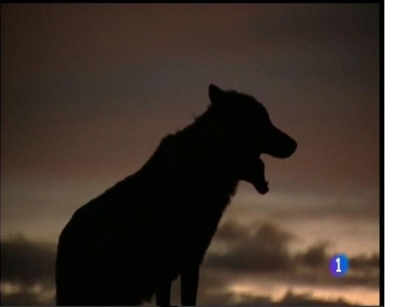 Panorama Regional - 23/05/17 | Ver