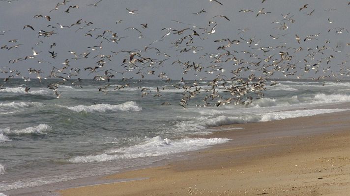 El tiempo - Temperaturas altas en casi toda España