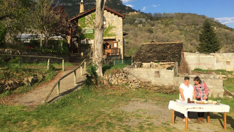 Aquí la tierra - Postres ¿con setas?