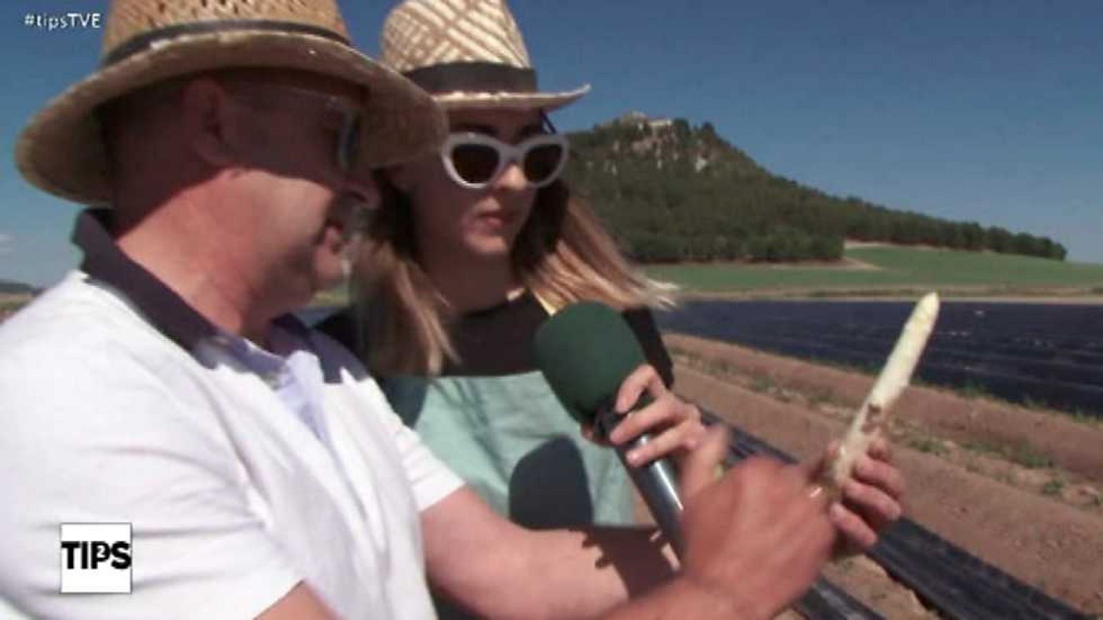 Tips - 23/05/17 - ver ahora