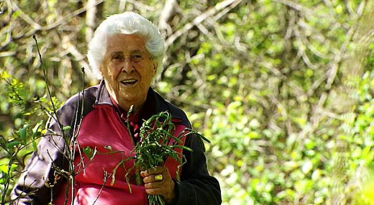 Universo UNED - Plantas silvestres comestibles. Parte 1