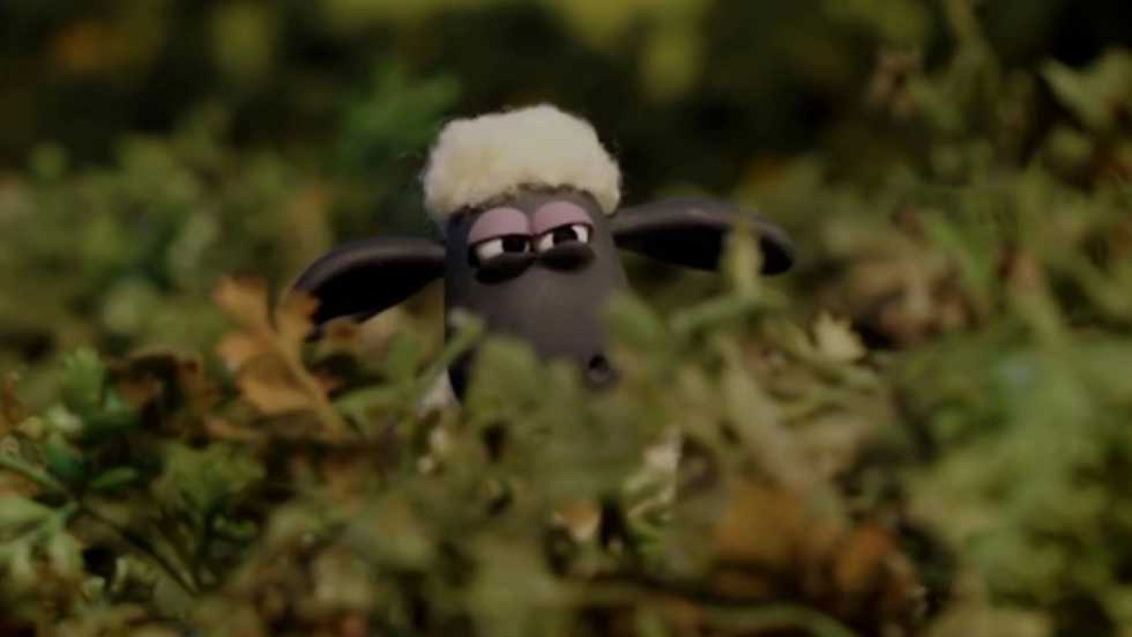 El secreto de Bitzer - La oveja Shaun | Ver