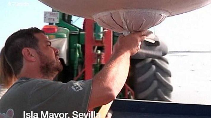 España Directo - España Directo - 25/05/17