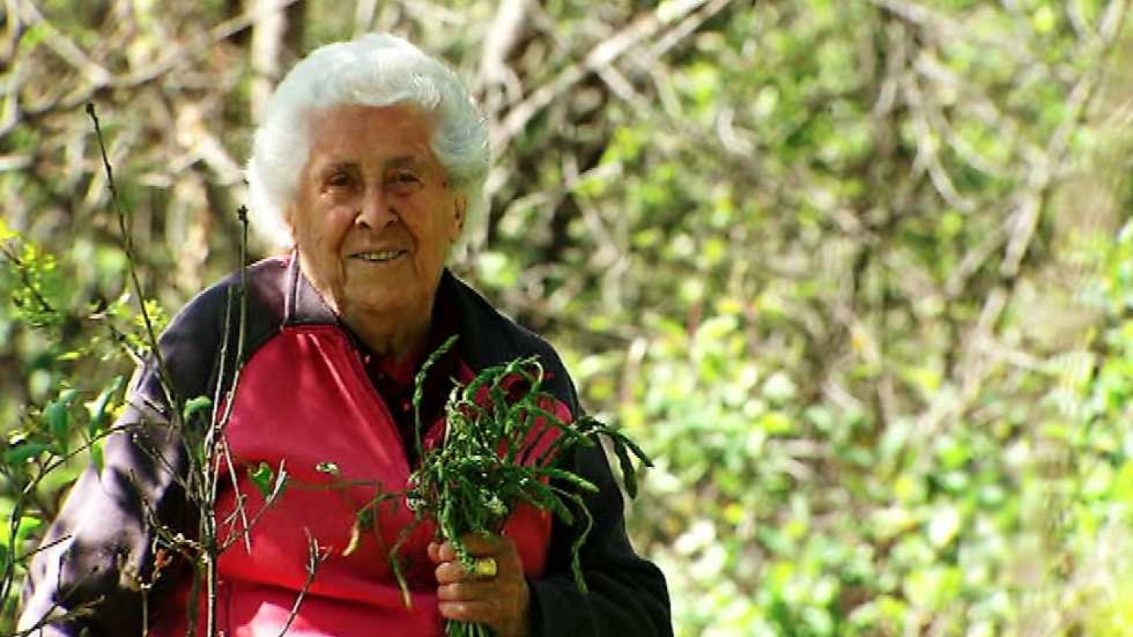 UNED - 26/05/17 - ver ahora