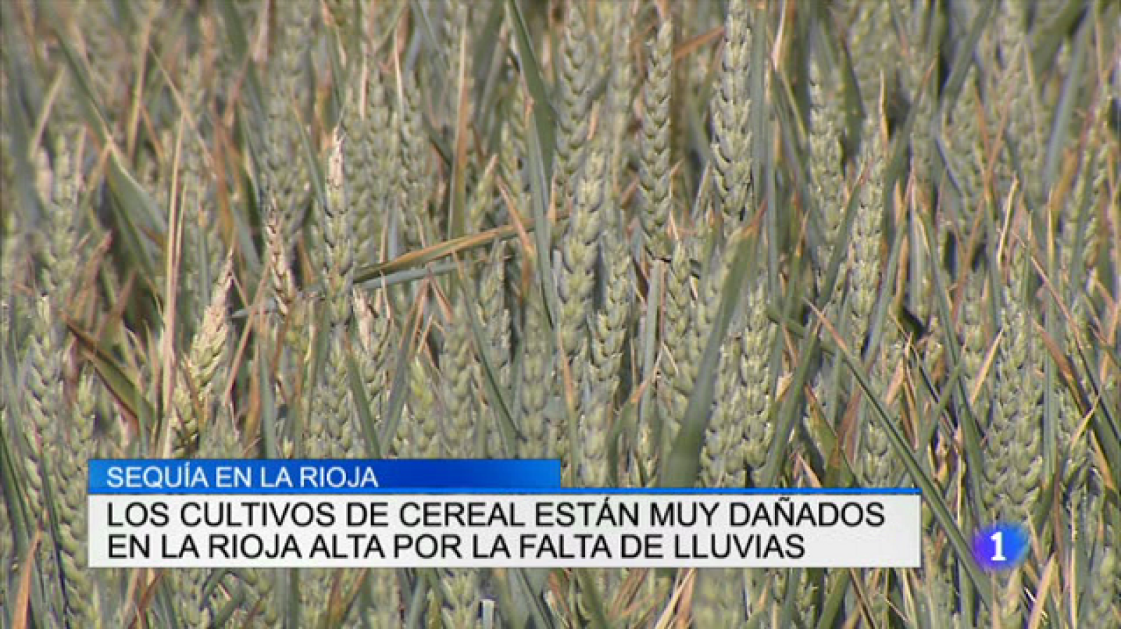 Telerioja en 2' - 26/05/17