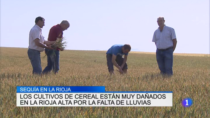 Informativo Telerioja - Informativo Telerioja 2 - 26/05/17