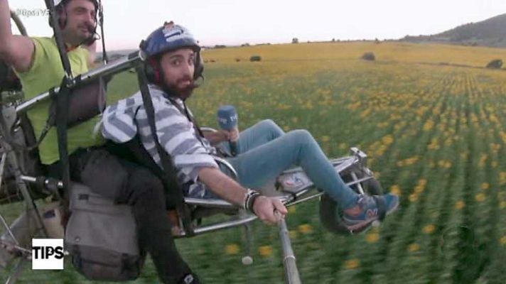 Tips - Tips - 26/05/17