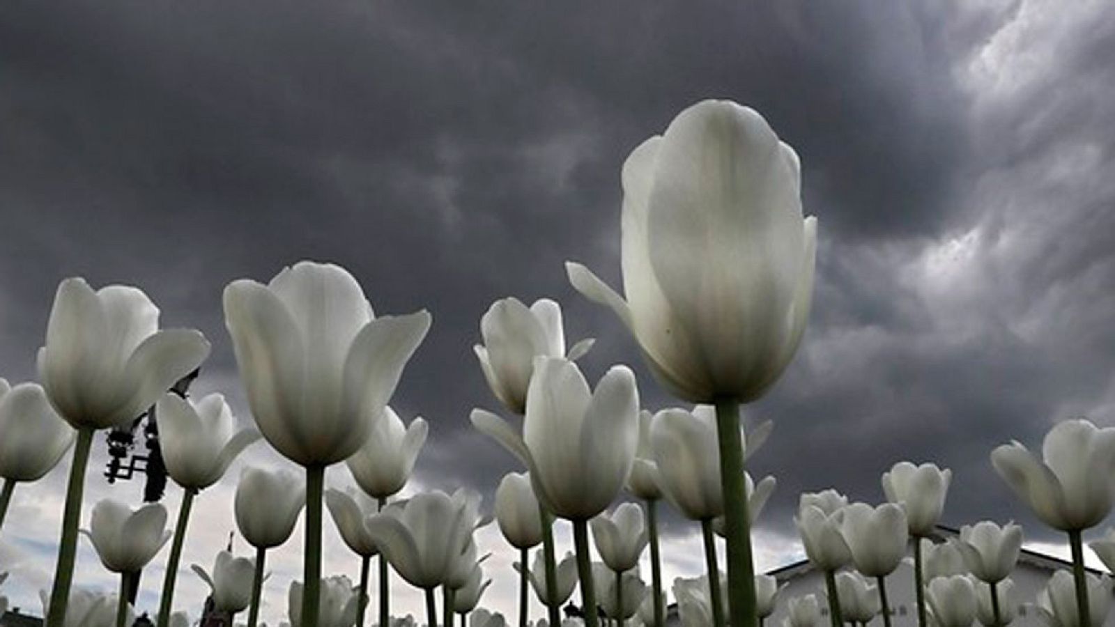 Telediario 2 en cuatro minutos - 27/05/17