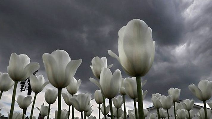 Telediario 1 - Telediario 2 en 4' - 27/05/17