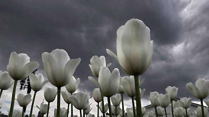Cielos muy nubosos en el cuadrante noroccidental de la península