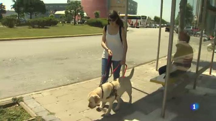 L'Informatiu - Us ensenyem el postgrau d'instrucció d'unitats canines de la UAB