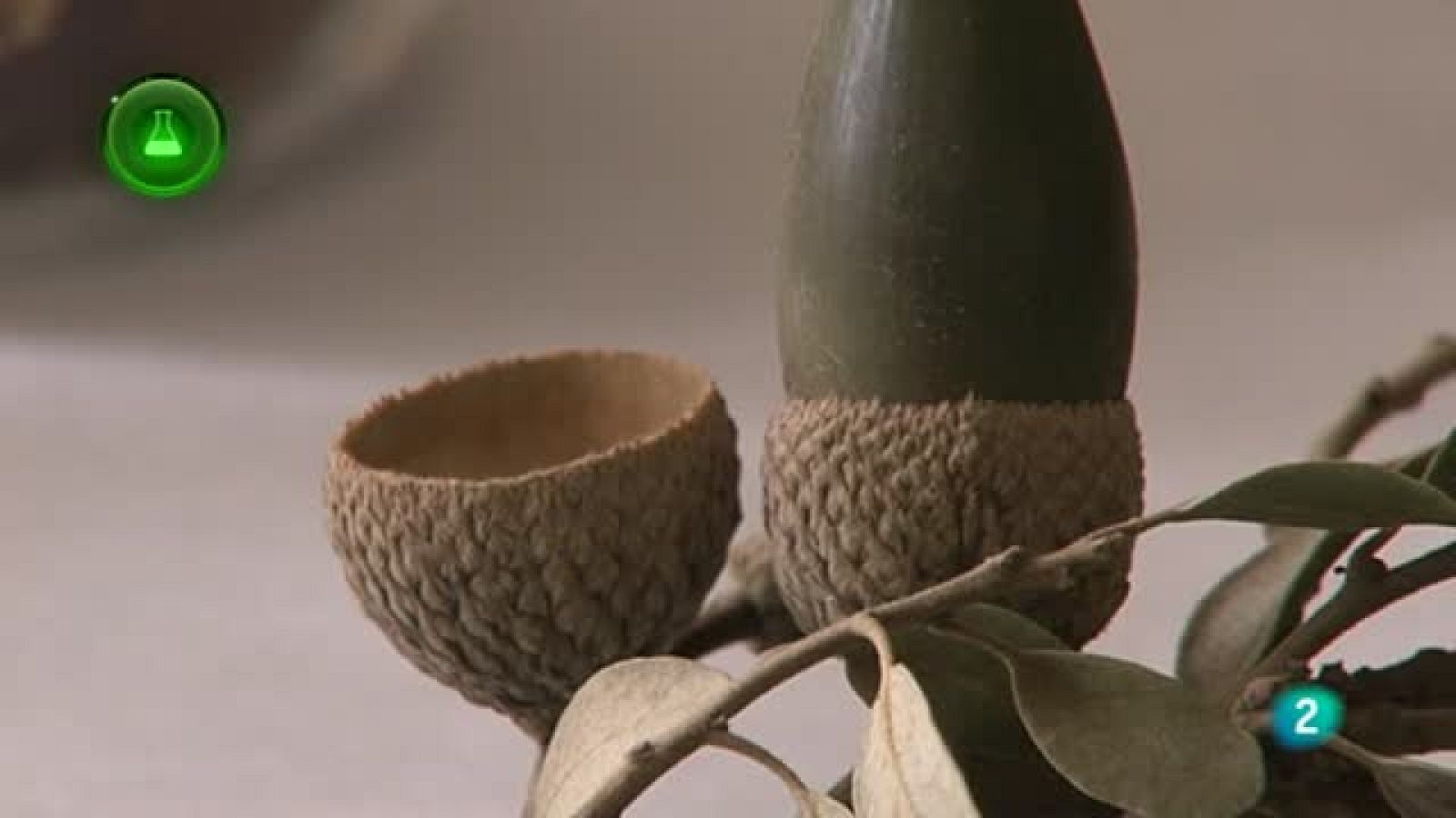 Agrosfera - Laboratorio de ideas - Nariz digital