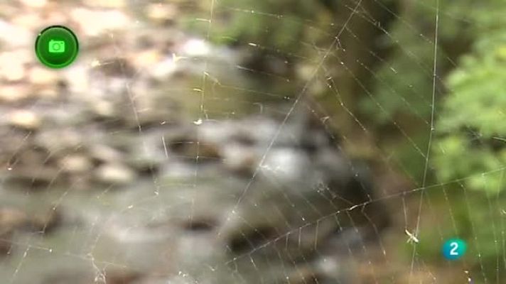 Agrosfera - Lantz, Navarra