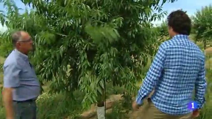 L'Informatiu - L'informatiu - 29/05/2017