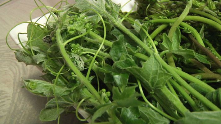 Aquí la Tierra - Espárragos camuflados