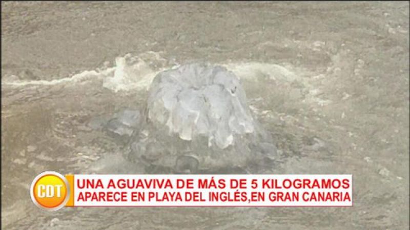 Cerca de ti - 29/05/2017