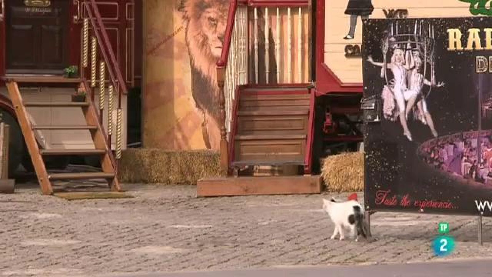 Cinc dies a ... - Circ Raluy Legacy