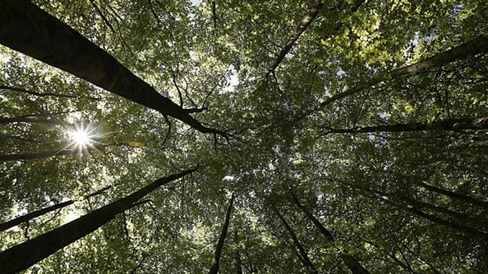 El tiempo - Las temperaturas aumentan y llegarán a 33ºC en el sur  con posibilidad de chubascos en Sistema Ibérico y Pirineos