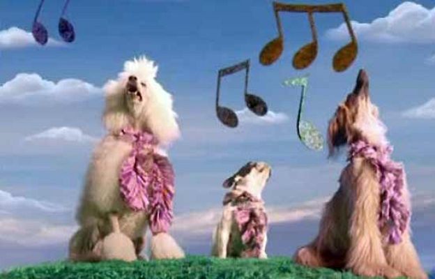  - Estrellas de cuatro patas