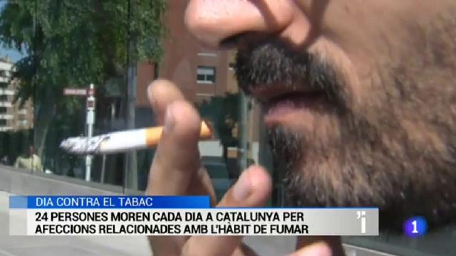 L'informatiu en 3' - 31/05/2017