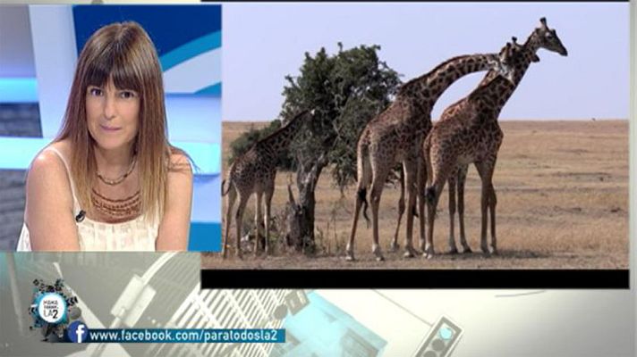 Para todos La 2 - Entrevista a la fotógrafa Marina Cano