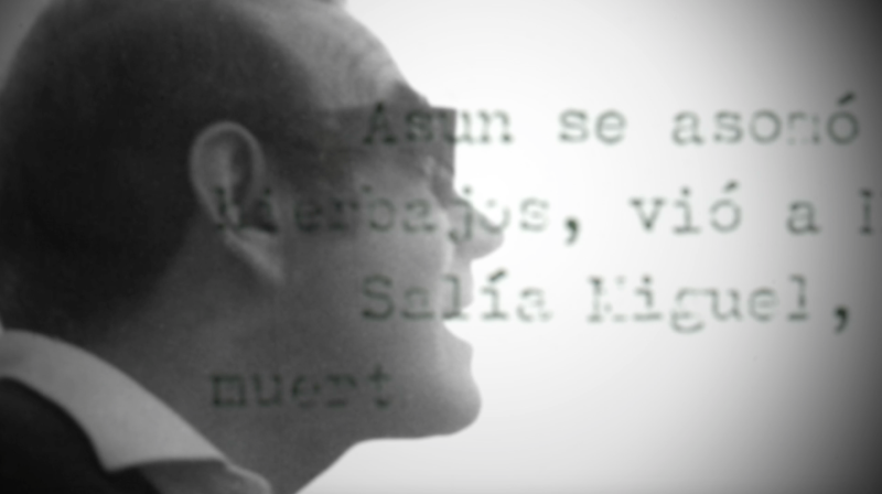 Miguel Picazo: un cineasta extramuros - avance