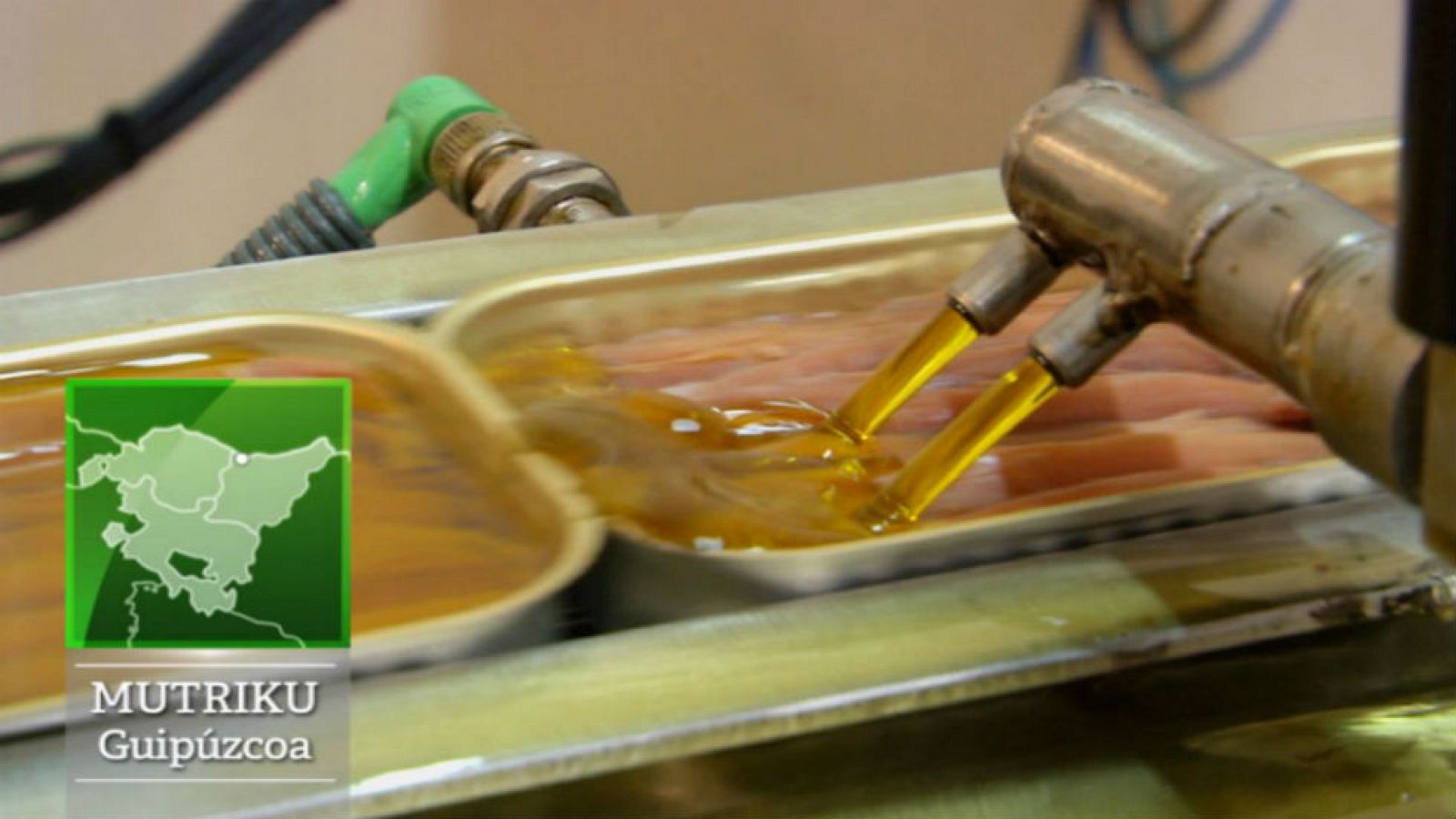 La conserva de la anchoa