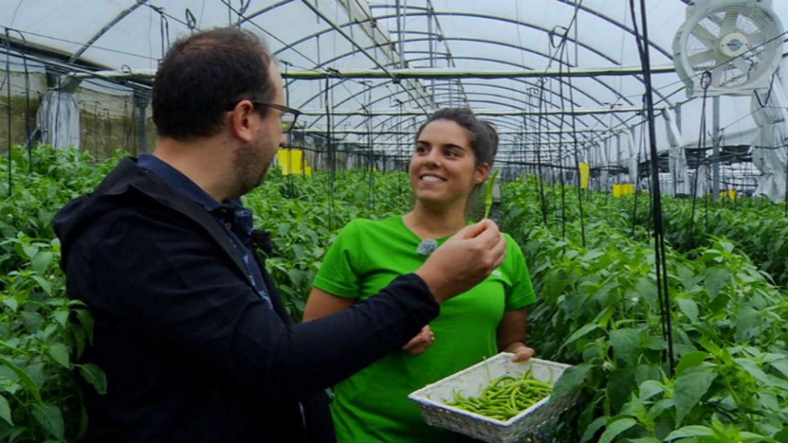 De la huerta vasca, lo mejor