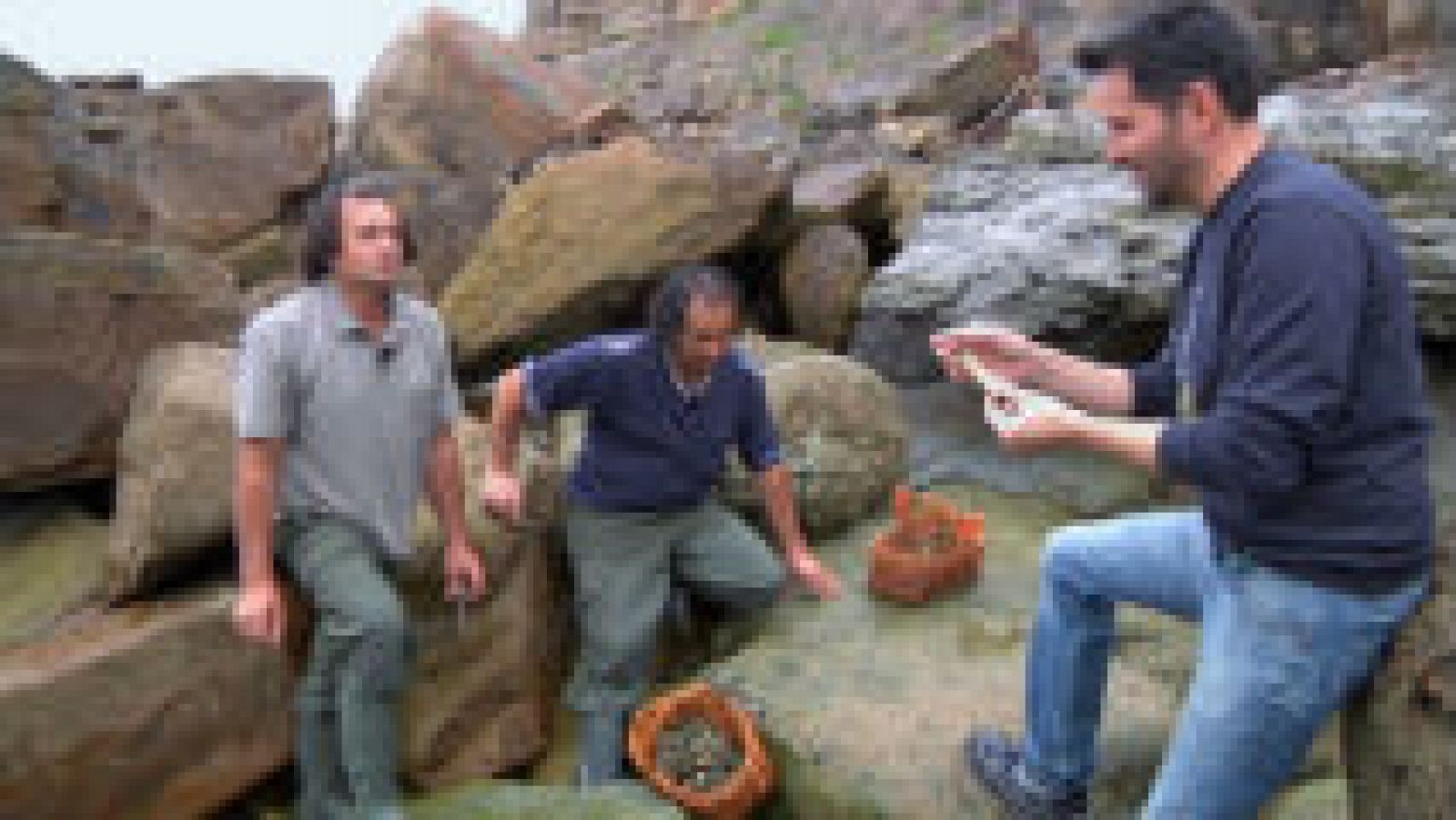 Llámpares, bocado cotizado