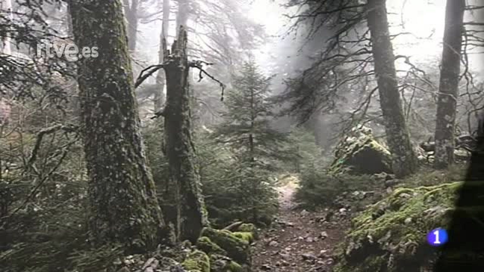 "Las Luces Reveladoras", exposición de fotografías de Manolo Benítez | Ver