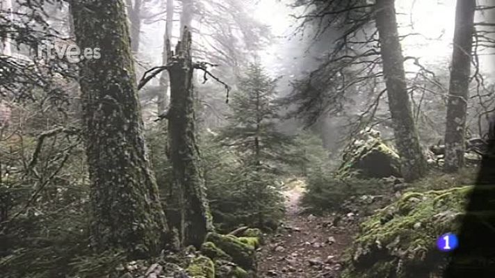  - "Las Luces Reveladoras", exposición de fotografías de Manolo Benítez
