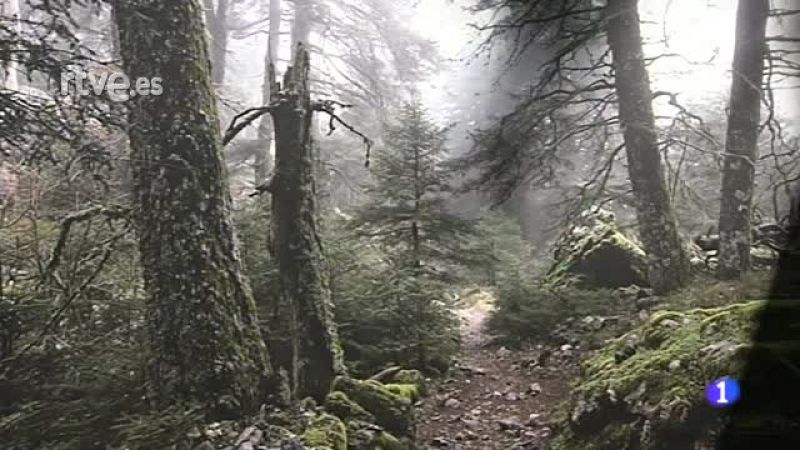 "Las Luces Reveladoras", exposición de fotografías de Manolo Benítez | Ver