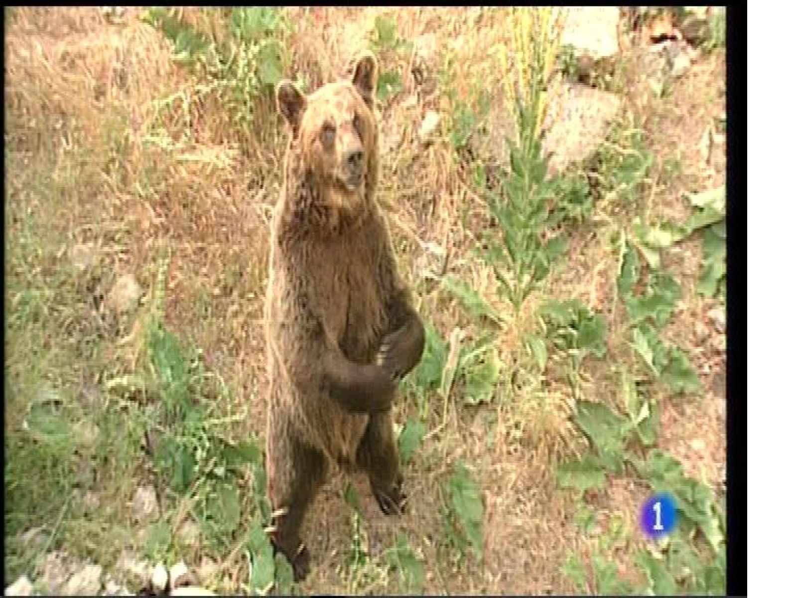 Panorama Regional 2 - 05/06/17 | Ver