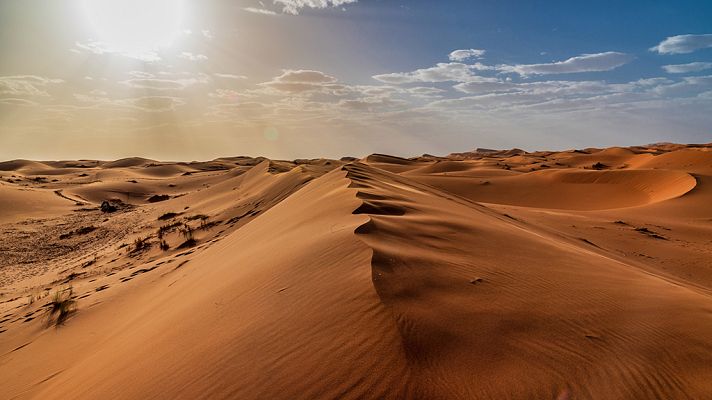 Documenta2 - Planeta arena: Sahara, reconquistando las tierras perdidas