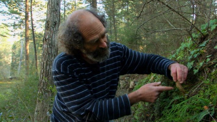 Aquí la Tierra - Plantas, buenas estrategas