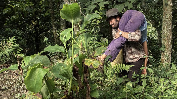 Cultura en Rtve.es - Tráiler de 'La mujer del animal', de Víctor Gaviria