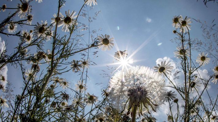 Informativo de Madrid - El Tiempo en la Comunidad de Madrid - 06/06/17