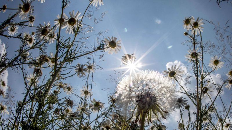 El Tiempo en la Comunidad de Madrid - 06/06/17