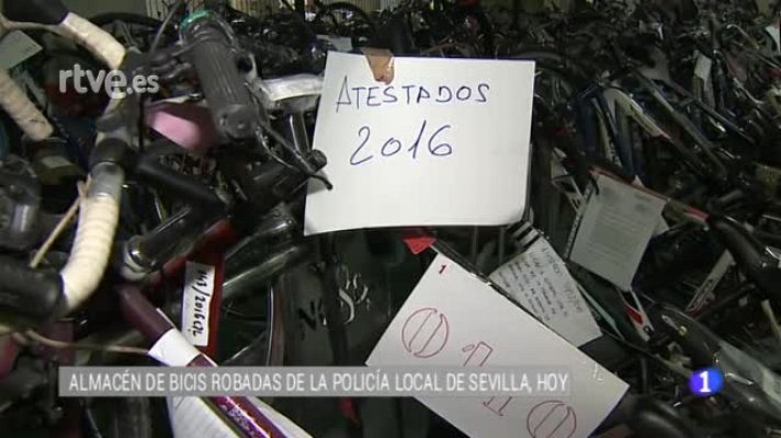  - La policía local de Sevilla expone bicicletas robadas a la espera de que aparezcan sus propietarios