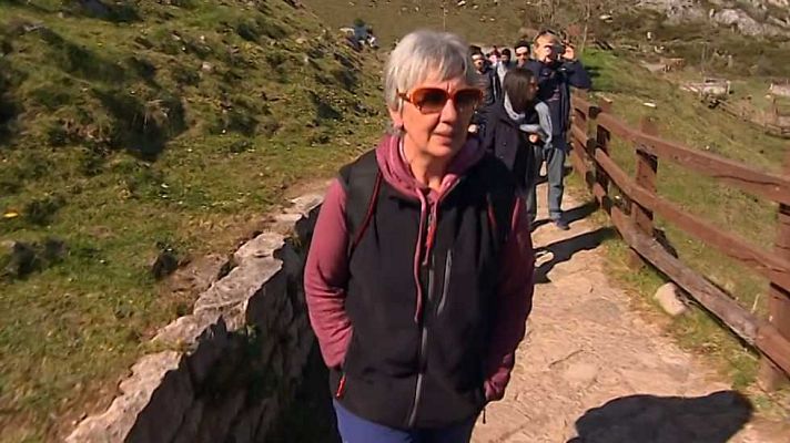 El escarabajo verde - "Picos", cien años después