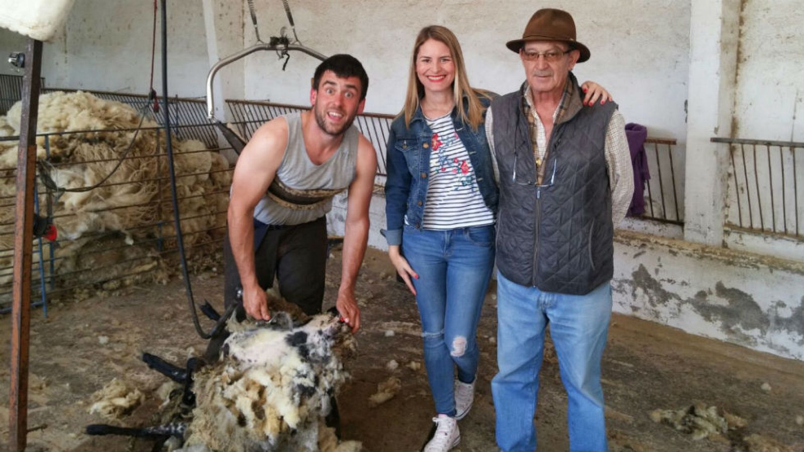 Este esquileo es un espectáculo