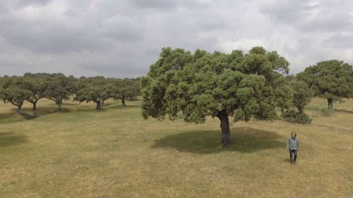 Aquí la Tierra - Las riquezas de la dehesa