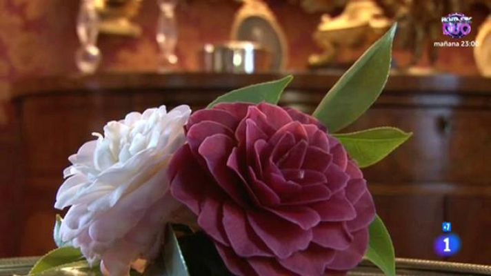 Comando Actualidad - Camelias en Galicia